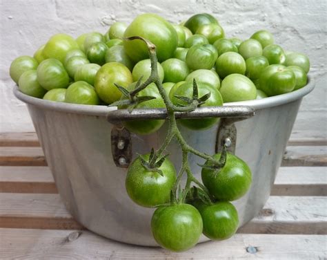 Slow Cooked Green Tomato And Rhubarb Chutney Nip It In The Bud