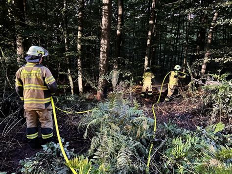 Bodenfeuer im Wald und Brand in einer Gaststätte Einsatzbericht