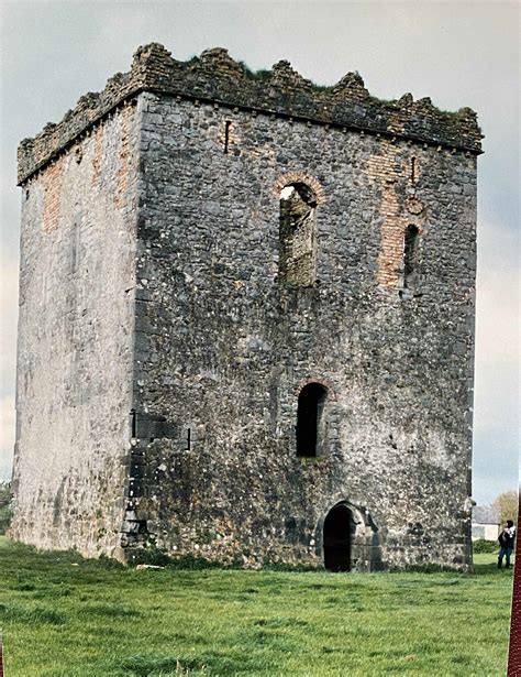 Liskeveen Castle Co Tipperary Irish Tower Houses And Castles