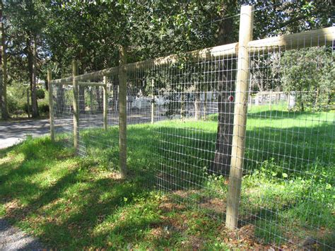 Top 20 Deer Proof Fence Ideas 2018 Interior And Exterior Ideas