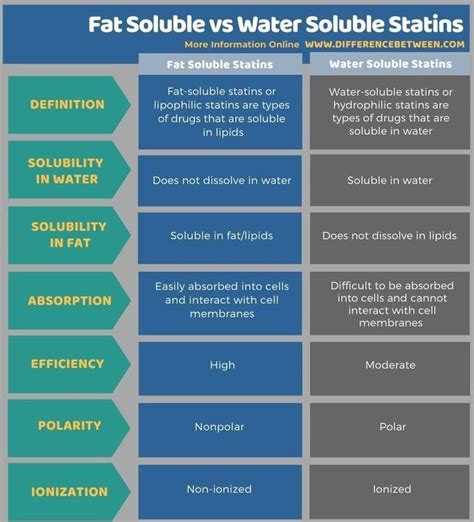 Fat Soluble Vs Water Soluble Statins Tabular Form Cell Membrane