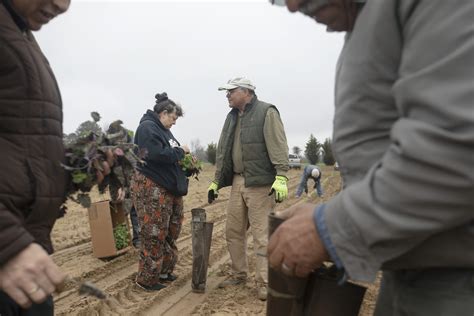 Horticulture, History, and Hurricanes - UNC Research Stories