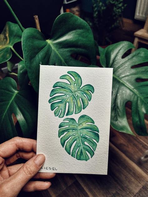 Easy Watercolor Painting Monstera Plant Leaves Tutorial For Beginner Step By Step Artofit