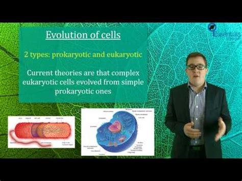 Sace Biology Essentials Concept Video Endosymbiosis Youtube