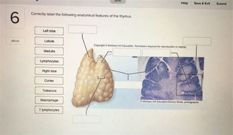 Anatomy And Physiology Archive March 26 2018 Chegg