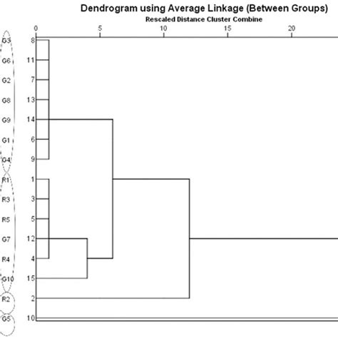 Hierarchical Agglomerative Clustering Analysis Hca Dendrogram Of