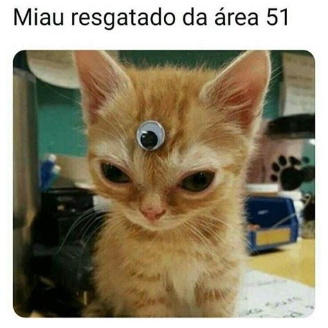 40 Memes Engraçados Para Alegrar A Sua Semana Memes Engraçados Memes