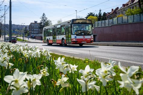 Historické tramvajové linky a autobusová retro linka jsou v provozu od