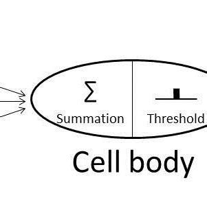 1: Artificial Neuron Source: Own diagram | Download Scientific Diagram