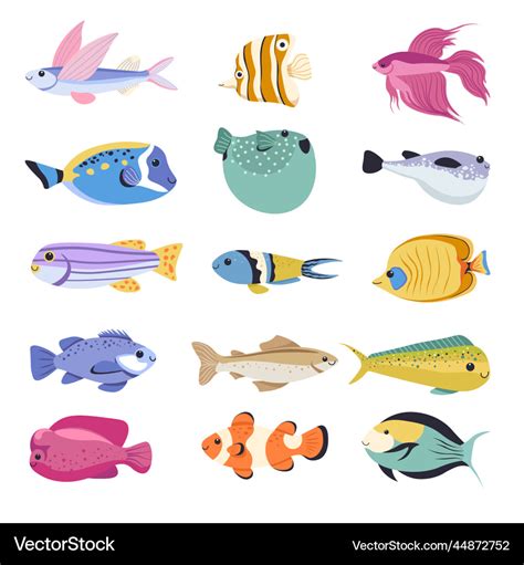 Fish types for aquarium tropical species Vector Image