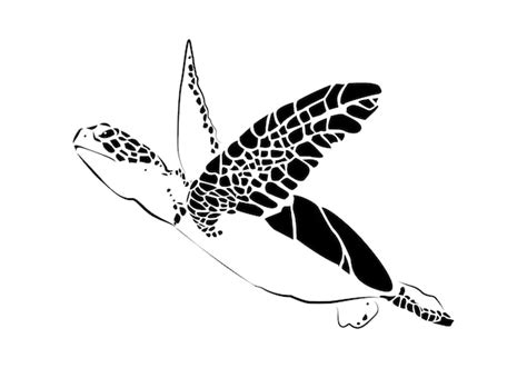 Premium Vector Graphic Sea Turtlevector Illustration Of Sea