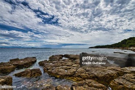 351 Marguerite Bays Stock Photos, High-Res Pictures, and Images - Getty ...