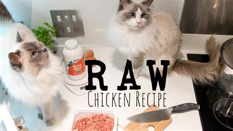 Raw Cat Food Really Easy Chicken Recipe Ragdolls Pixie And Bluebell