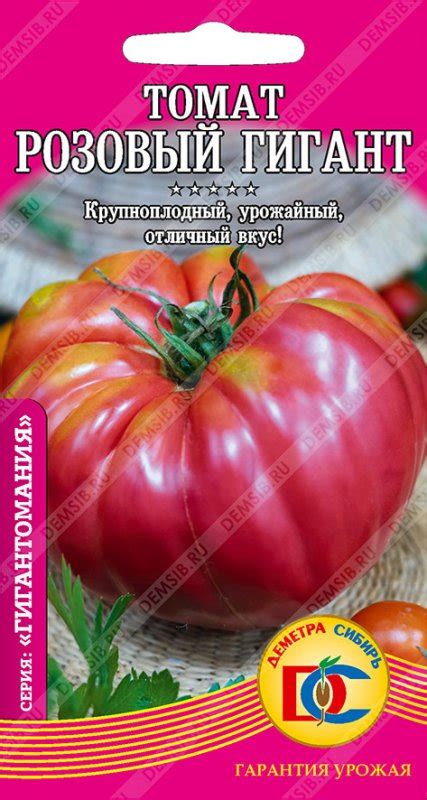 Помидоры Розовый Гигант Фото Отзывы Описание – Telegraph