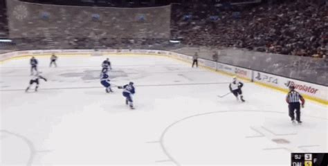 Hockey Boards  Find And Share On Giphy