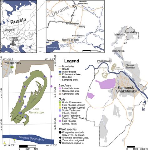simplified map  lake atamanskoye  location  sampling sites  scientific diagram