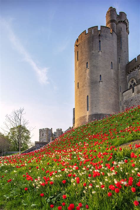 Arundel Castle Tulip Festival Blooming Lucky