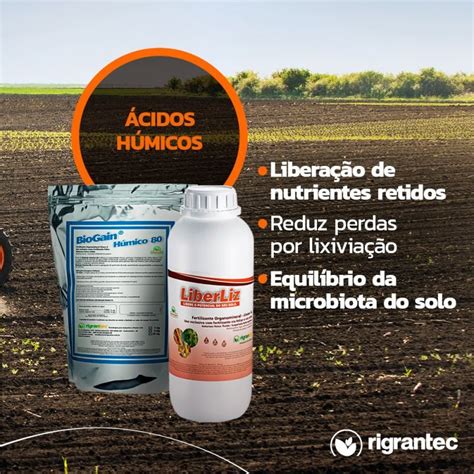 BioGain Húmico 80 Fertilizante condicionador de solo extrato de