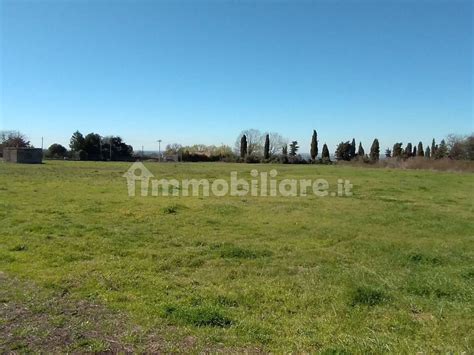 Terreno Agricolo Via DI CAMPO FATTORE SNC Marino Rif 99781476