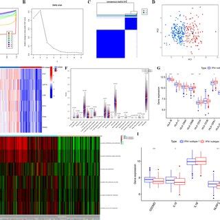 Identification Of IFN 1 Gene Signatures In SLE A Heatmap Showing The