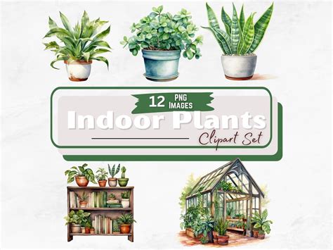 Indoor Plants Watercolor Clipart Bundle House Plant Clipart Etsy