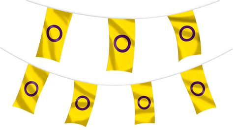 Intersex Pride Bunting Hampshire Flag Company