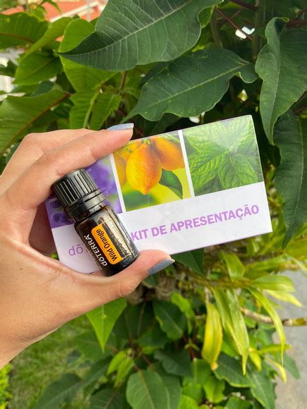 Kit Apresentacao Doterra Com 3 Oleos Essenciais 5ml Brinde Elo7