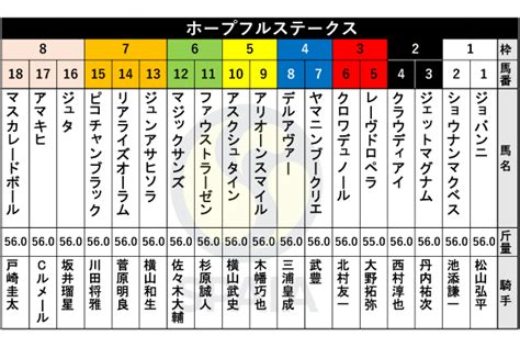 【ホープフルs枠順】東スポ杯2歳s勝ち馬クロワデュノールは3枠6番 札幌2歳sの覇者マジックサンズは6枠12番（spaia）｜dメニュー