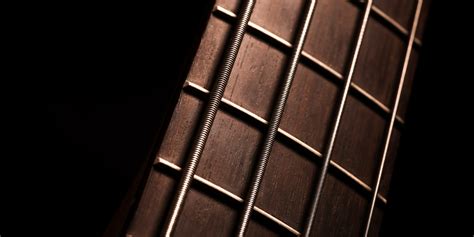 Guitar Frets: What Are They And Why Are They Important? - Guitars