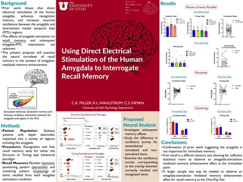 Elucidating the Mechanisms of Amygdala-Mediated Memory Enhancement ...