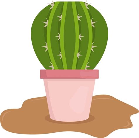 Premium Vector Illustration Of Cactus