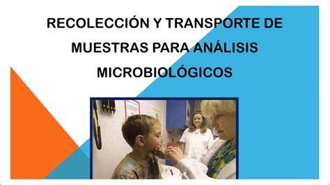 Clase 1 Recolección Y Transporte De Muestras Para Análisis Microbiológicos Youtube