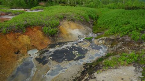 Кислотные дожди: что это, причины, последствия, методы борьбы