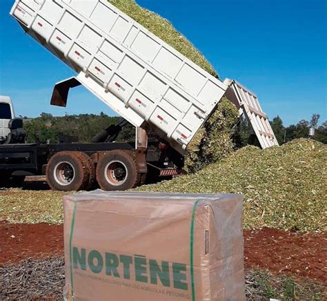 Armazenamento Adequado Da Silagem Garante Qualidade Para O Gado