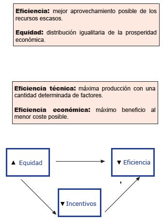 Principio De Eficiencia Y Equidad Evitar Despilfarrar Y Valorar La