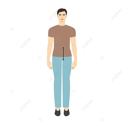 Male Fashion Illustration For Waisttohip Measurement Chart Hip Mannequin Human Vector, Hip ...