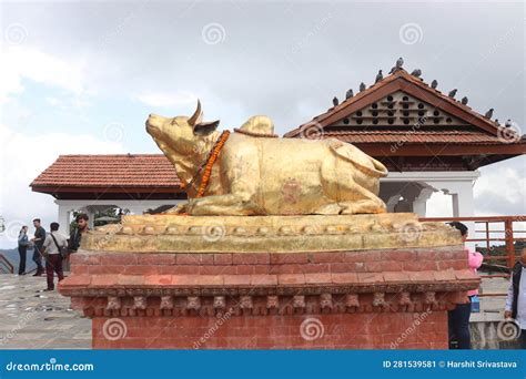 Golden Idol Of Holy Cow Nandi Sacred In The Hindu Religion Of Lord