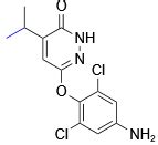 6 4 Amino 2 6 Dichlorophenoxy 4 Isopropylpyridazin 3 2H One Jiangxi