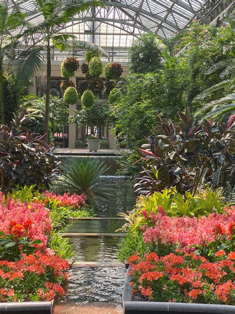 Longwood Gardens On Twitter We Have Some Real Tropical Flavors Going