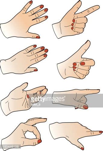 Eight Woman Hands Stock Clipart Royalty Free Freeimages