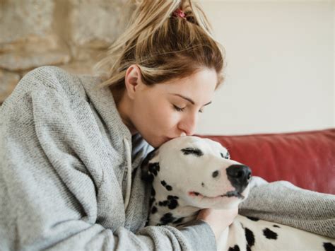 Estas Son Las Cosas Del D A A D A Que Los Perros Adoran