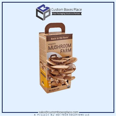 The Rise Of Mushroom Boxes An Innovative Approach To Sustainable