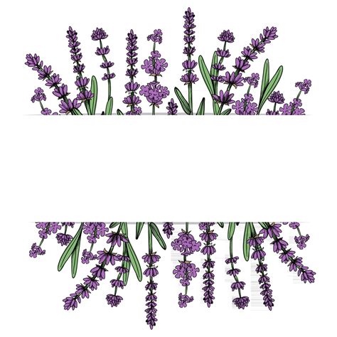 Marco Floral Con Flores De Lavanda Vector Dibujado A Mano Ilustraci N