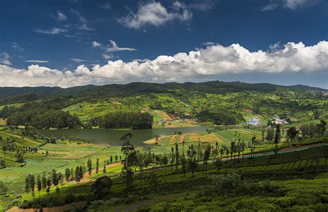 Emerald Lake in Ooty Photograph by MQ Naufal | Fine Art America