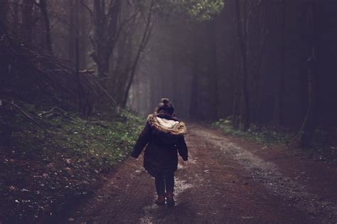 Free Images Tree Nature Forest Girl Road Mist Sunlight Morning