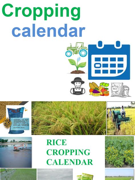 Cropping Calendar | PDF | Agriculture | Farms