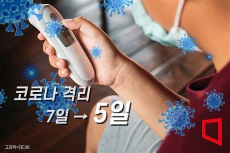 5월 초 코로나 일상관리 시작격리의무 5일·코로나 통계 주간단위로 네이트 뉴스