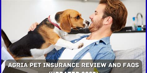 Insurance Guide Insurance Wise