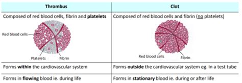 Fibrinolysis Thombosis Flashcards Quizlet