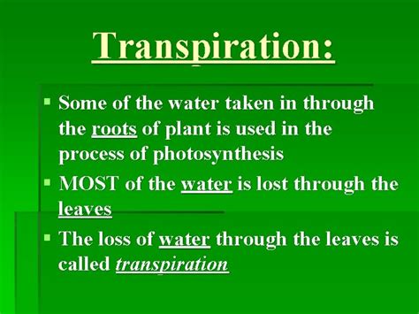 Photosynthesis Cellular Respiration and Transpiration Equation for ...